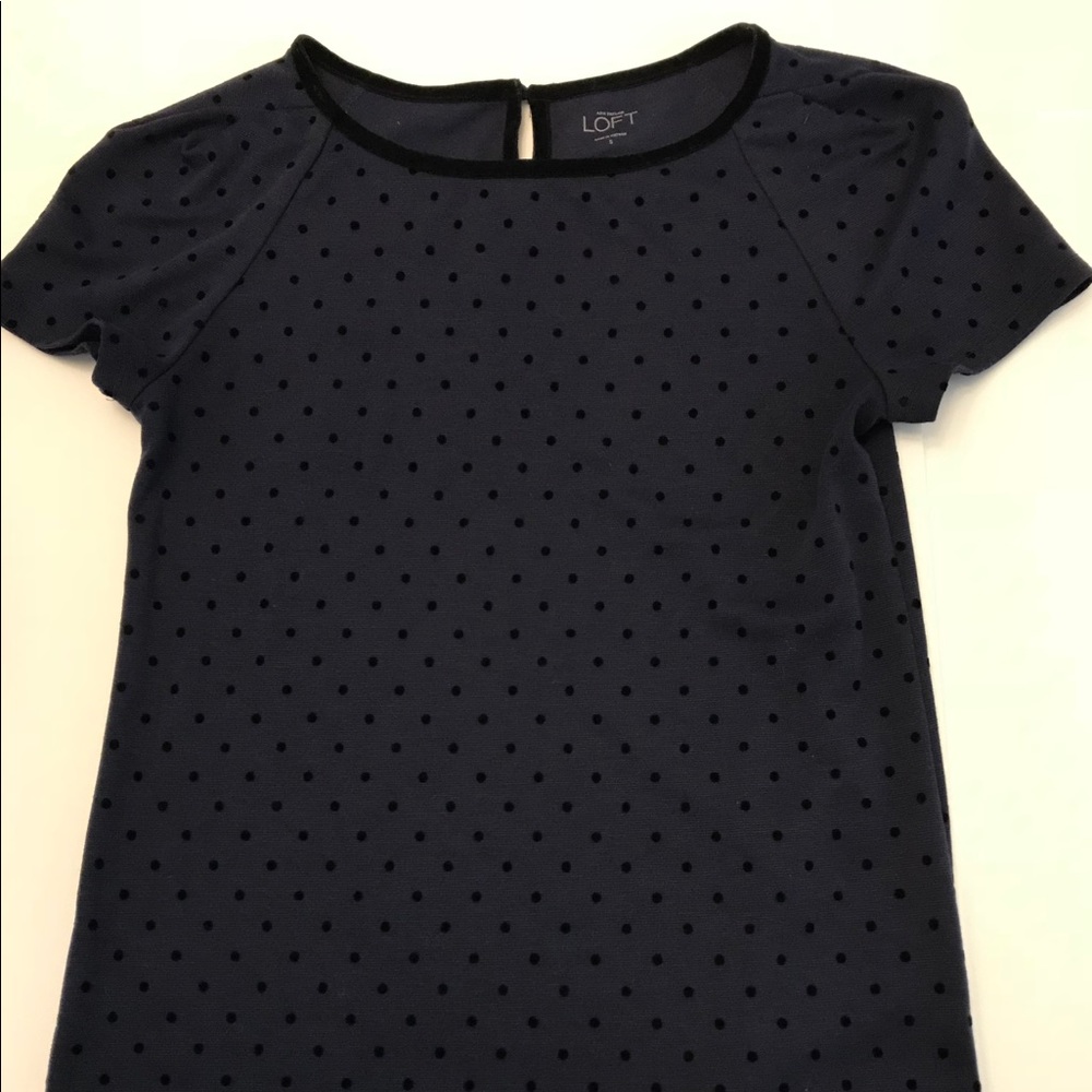 Loft Short sleeve velvet polka dot top