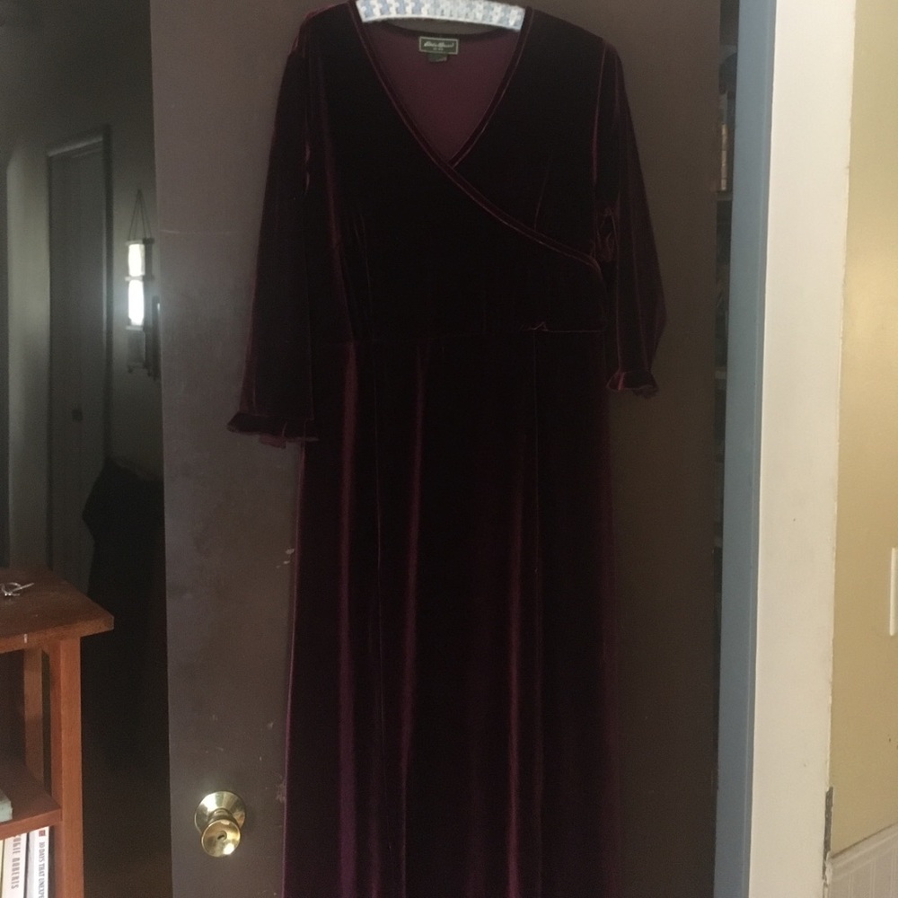 Eddie Bauer velvet dress.
