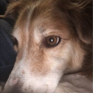 Meet your Posher, Barb