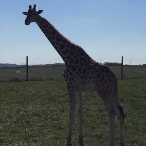 Meet your Posher, Tracey