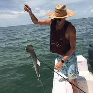 Meet your Posher, Ross