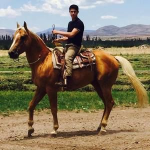 Meet your Posher, Paul