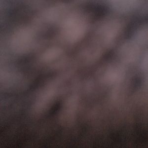 Meet your Posher, Liana