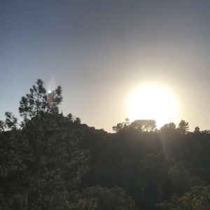 Meet your Posher, Jimmy