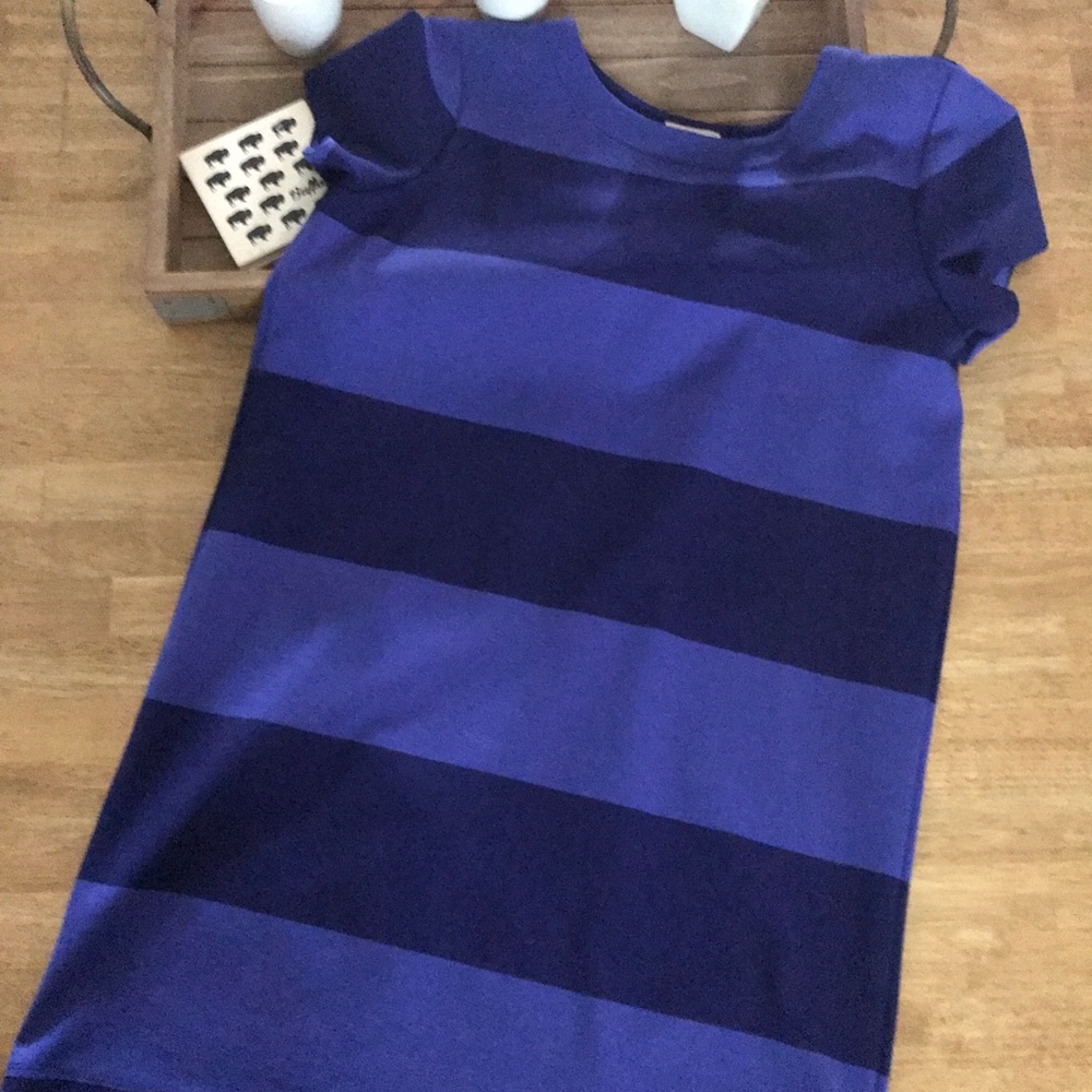 Gap Shirt Dress