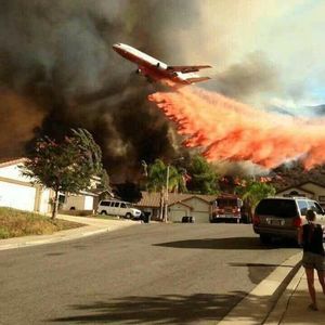 Meet your Posher, Nereida