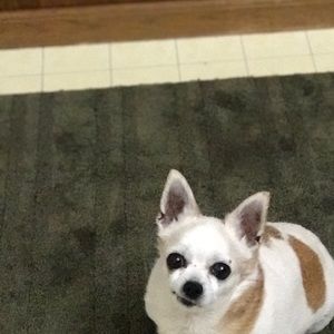 Meet your Posher, Lynette