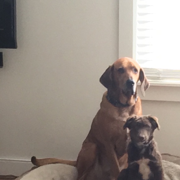 Meet your Posher, Caleb - Picture 1 of 1