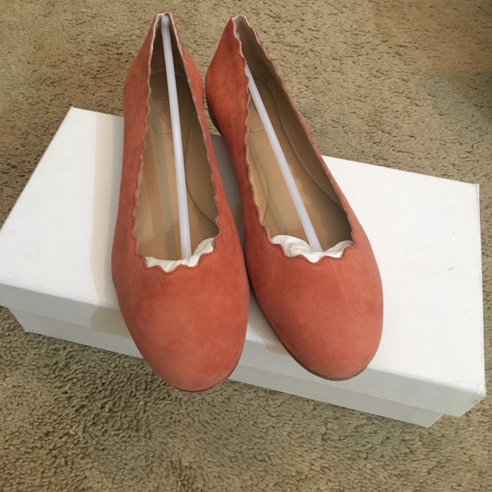 Brand New!!!! Authentic Chloe Suede Flat, size 36