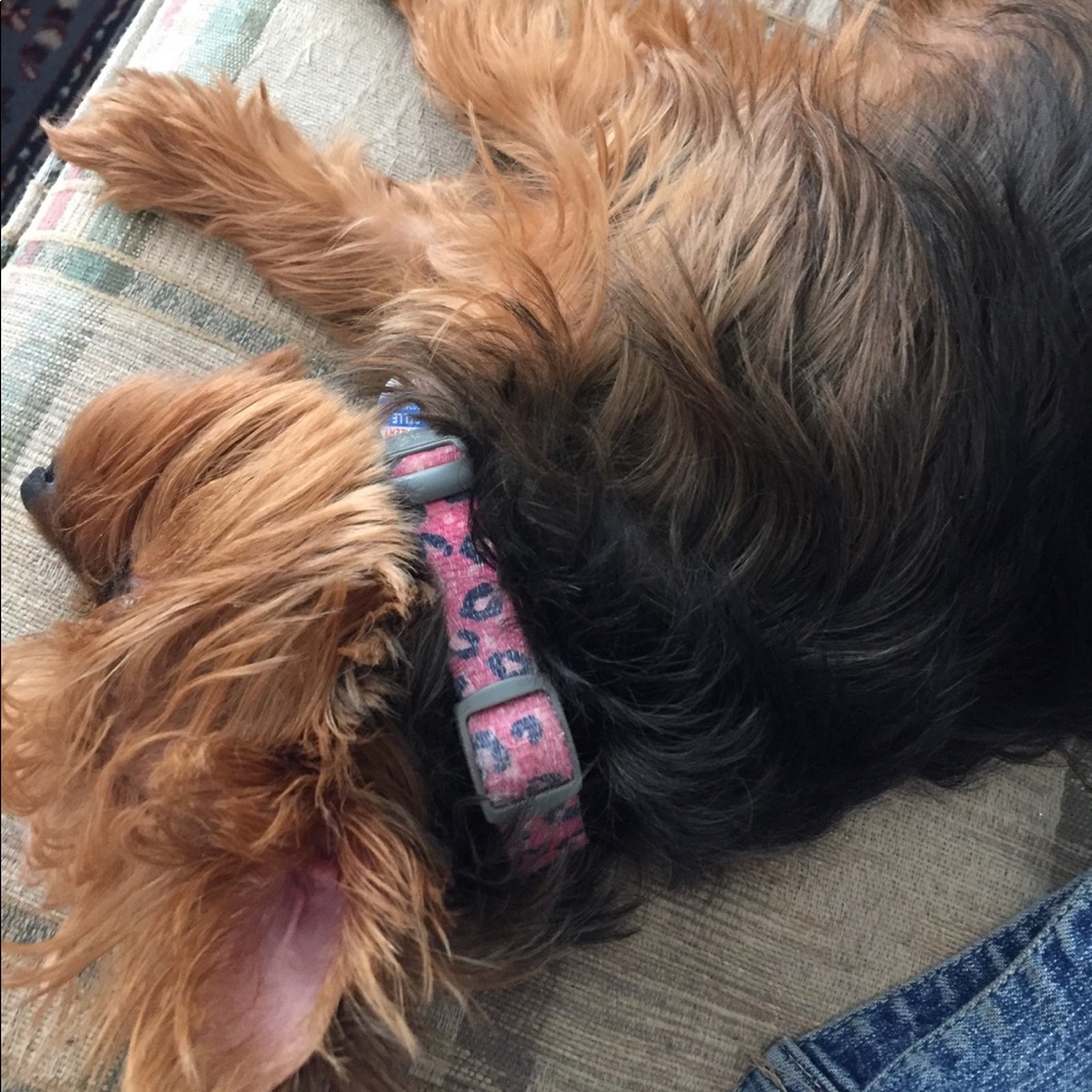 Meet your Posher, Natalya