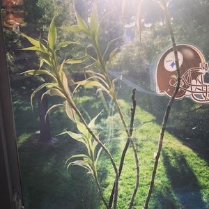 Meet your Posher, Vicki