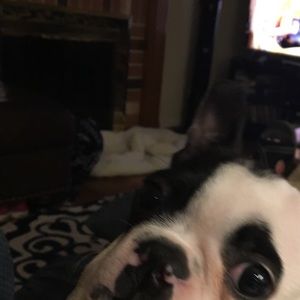 Meet your Posher, Rene