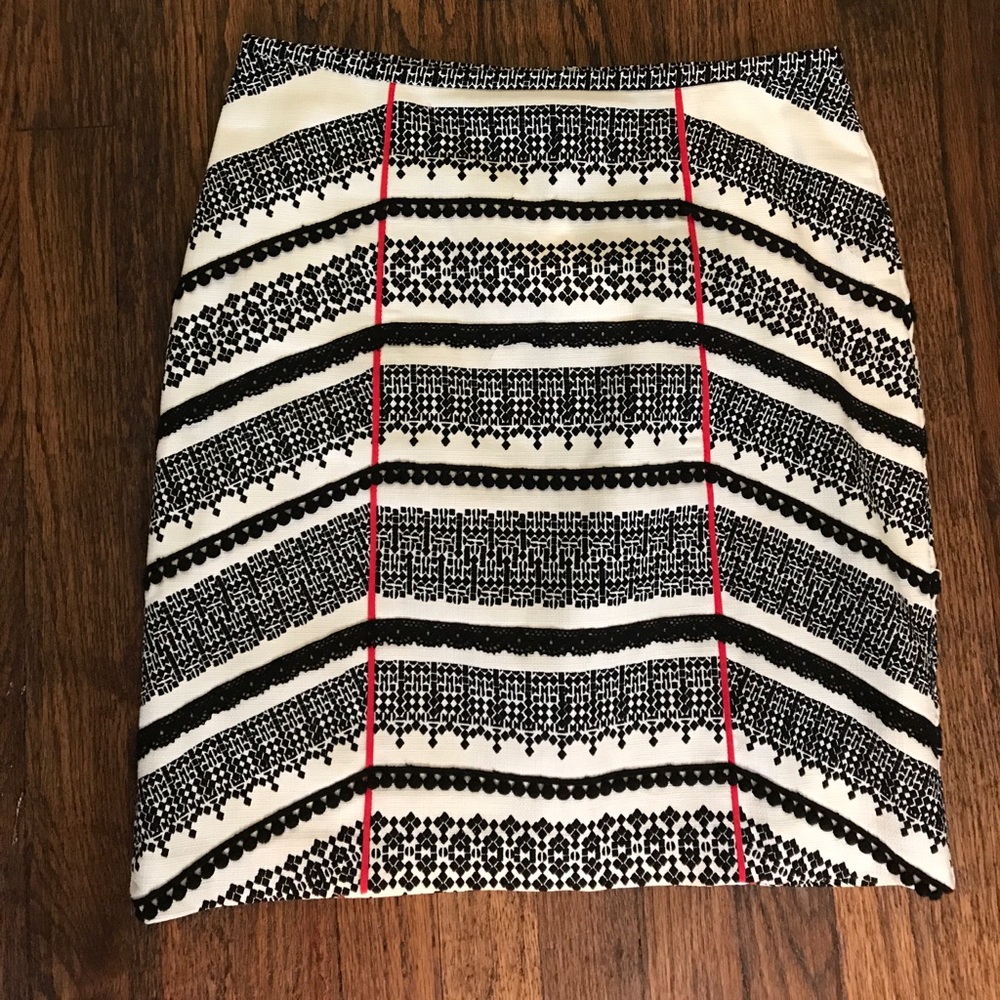 Anthropologie skirt