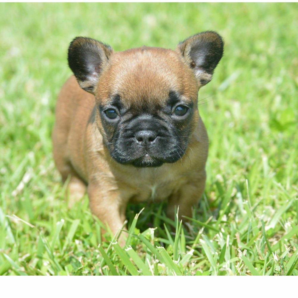 Meet your Posher, Brenda