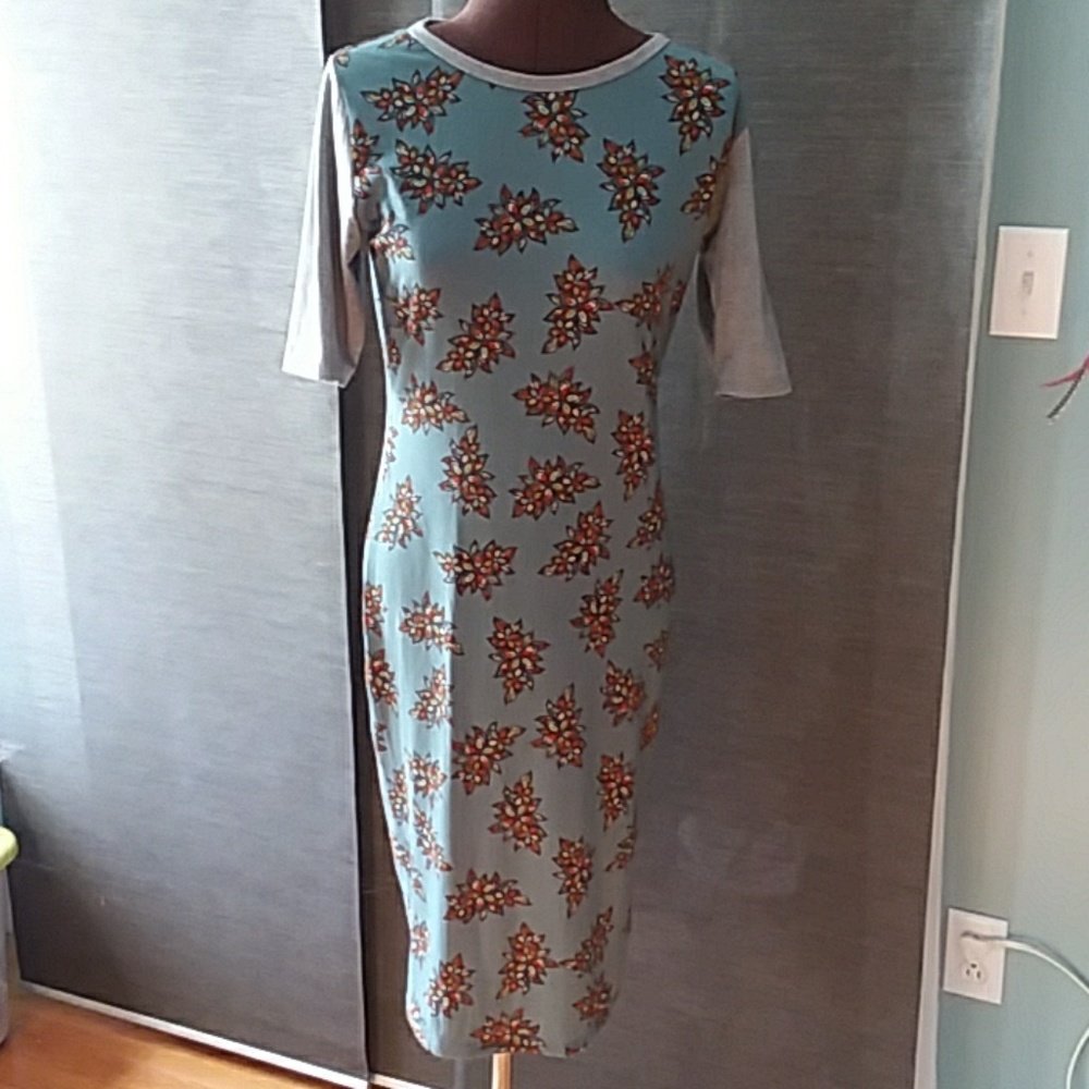 LuLaRoe Julia dress S