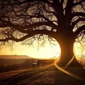 Meet your Posher, Modali