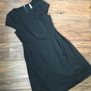 Kensie Velvet Polka Dot Dress Kensie Velvet Polka Dot Dress