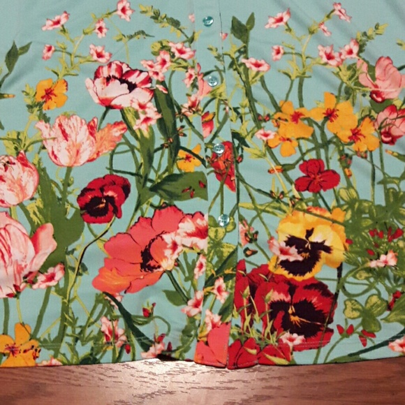 Markdowns *** Susan Graver Blouse *** EUC - Picture 2 of 5