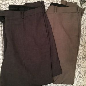 Set of Savane Dress Pants