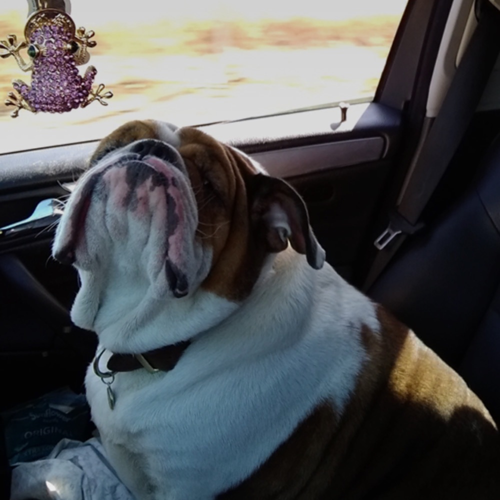 Meet your Posher, Jenna