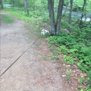 Meet your Posher, Michele