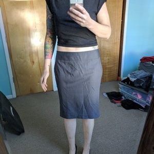 Express Pencil Skirt