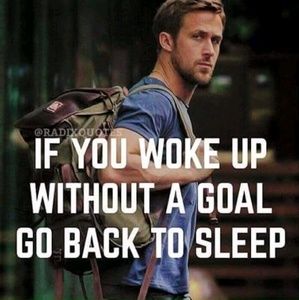 Meet your Posher, Shaneika