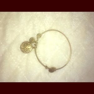 Alex & Ani Energy Bracelet