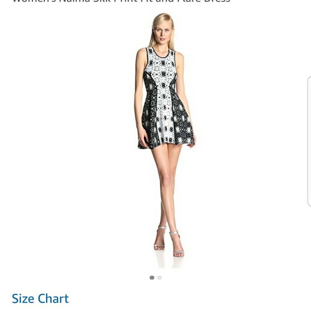 Parker dress xs