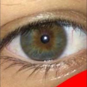 Meet your Posher, Zack