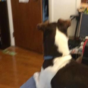 Meet your Posher, Nicholas