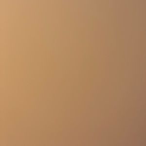 Meet your Posher, Lilly