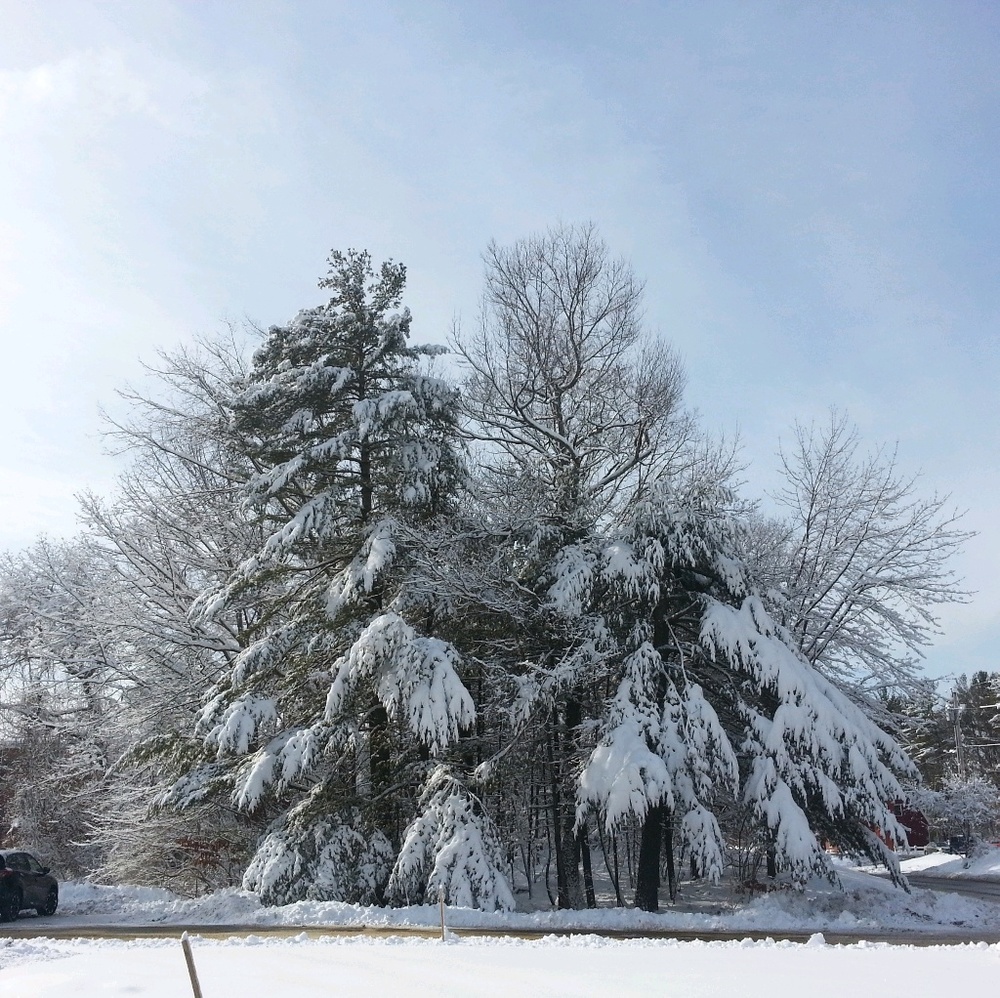 Meet your Posher, Hanane