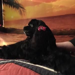 Meet your Posher, Donna