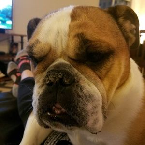 Meet your Posher, Gina