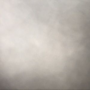 Meet your Posher, Izzy