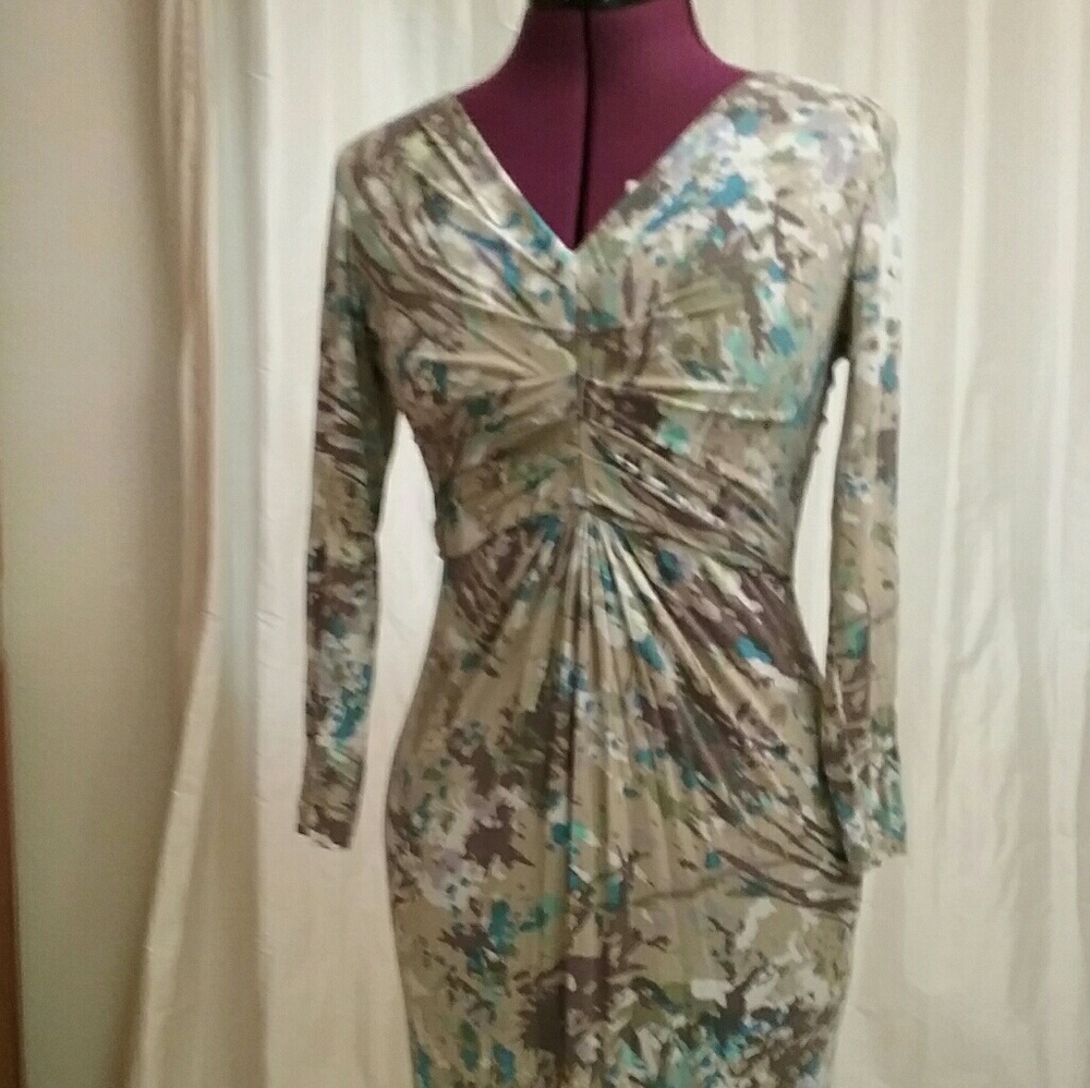 CAbi Ruched Dress