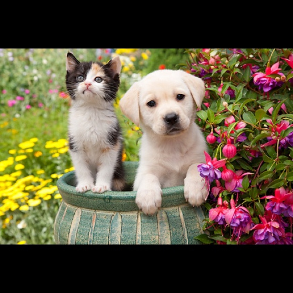 Vacation mode, BUT no vacations... working