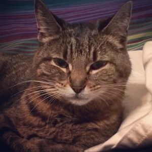 Meet your Posher, Stefanie