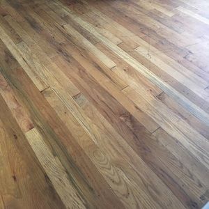 Meet your Posher, Liza