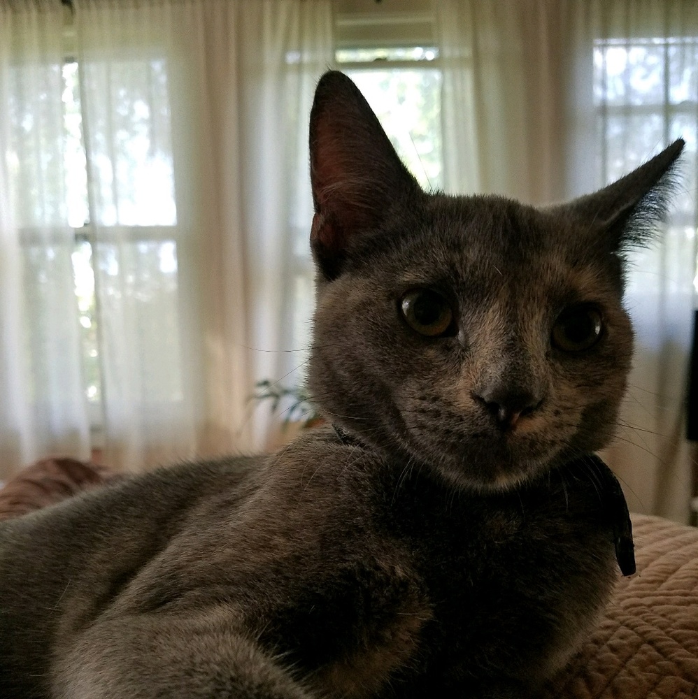 Meet your Posher, Andrea