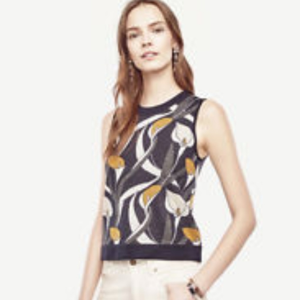 Ann Taylor Sweater Vest