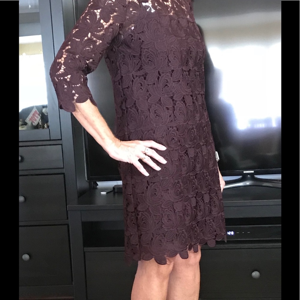 NWT Loft lace dress