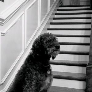 Meet your Posher, Kristy