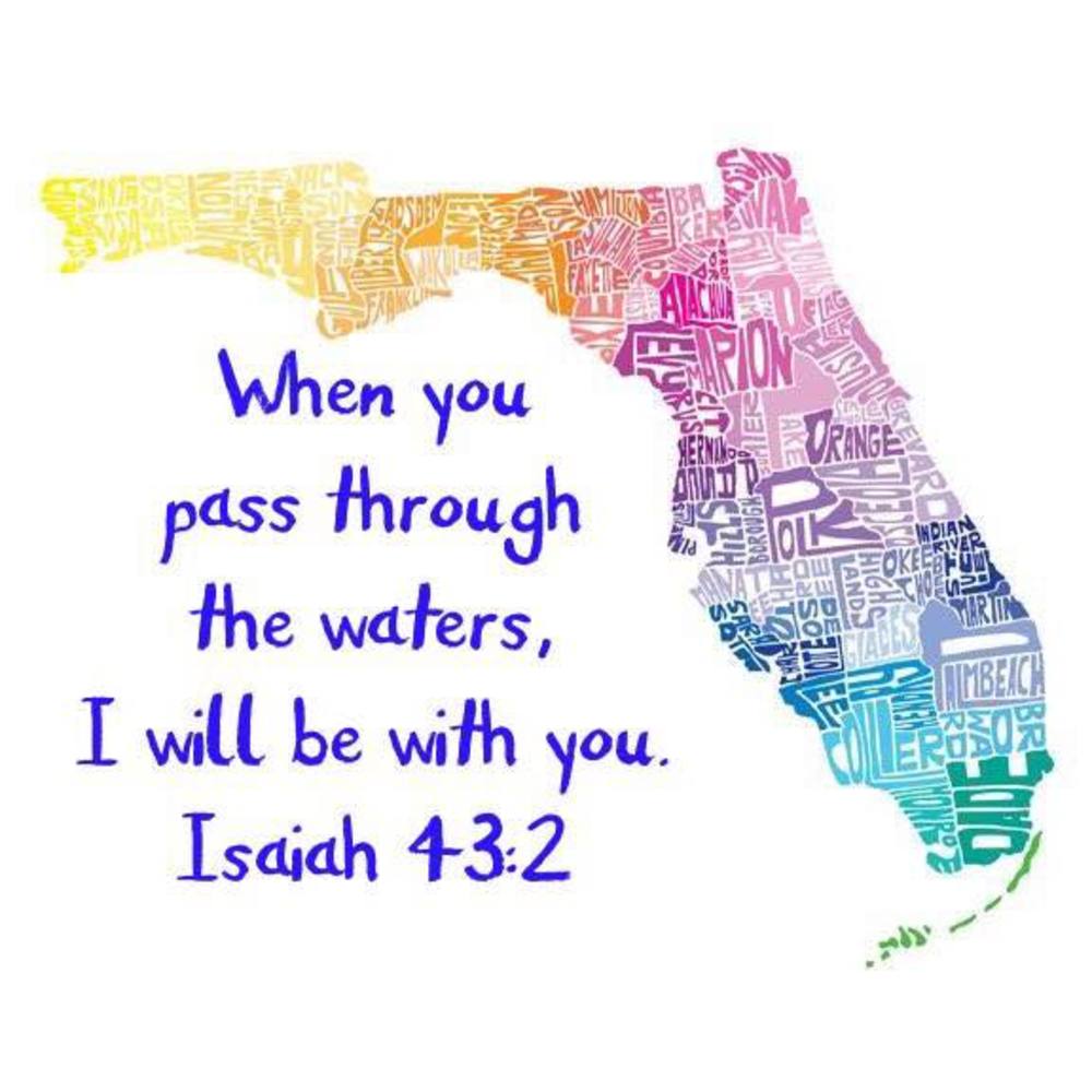 Meet your Posher, Judy