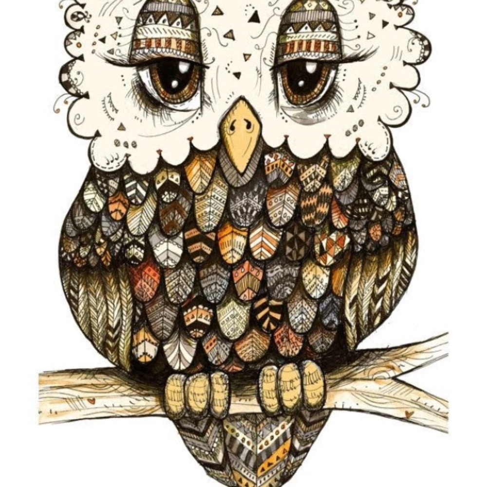 Meet your Posher, Bria