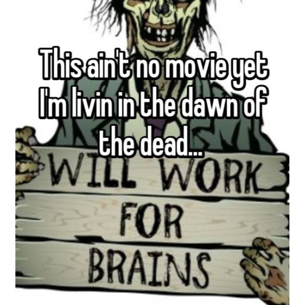 Meet your Posher, Nit