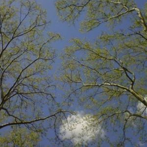 Meet your Posher, Tereen