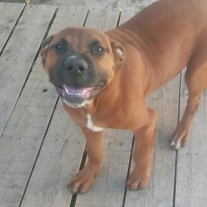 Meet your Posher, Flo