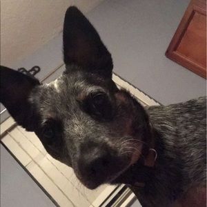 Meet your Posher, Ryann